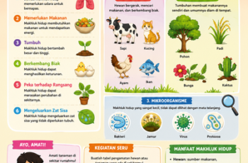 Free Download Buku Materi Pembelajaran SIBI Paket A/Setara SD